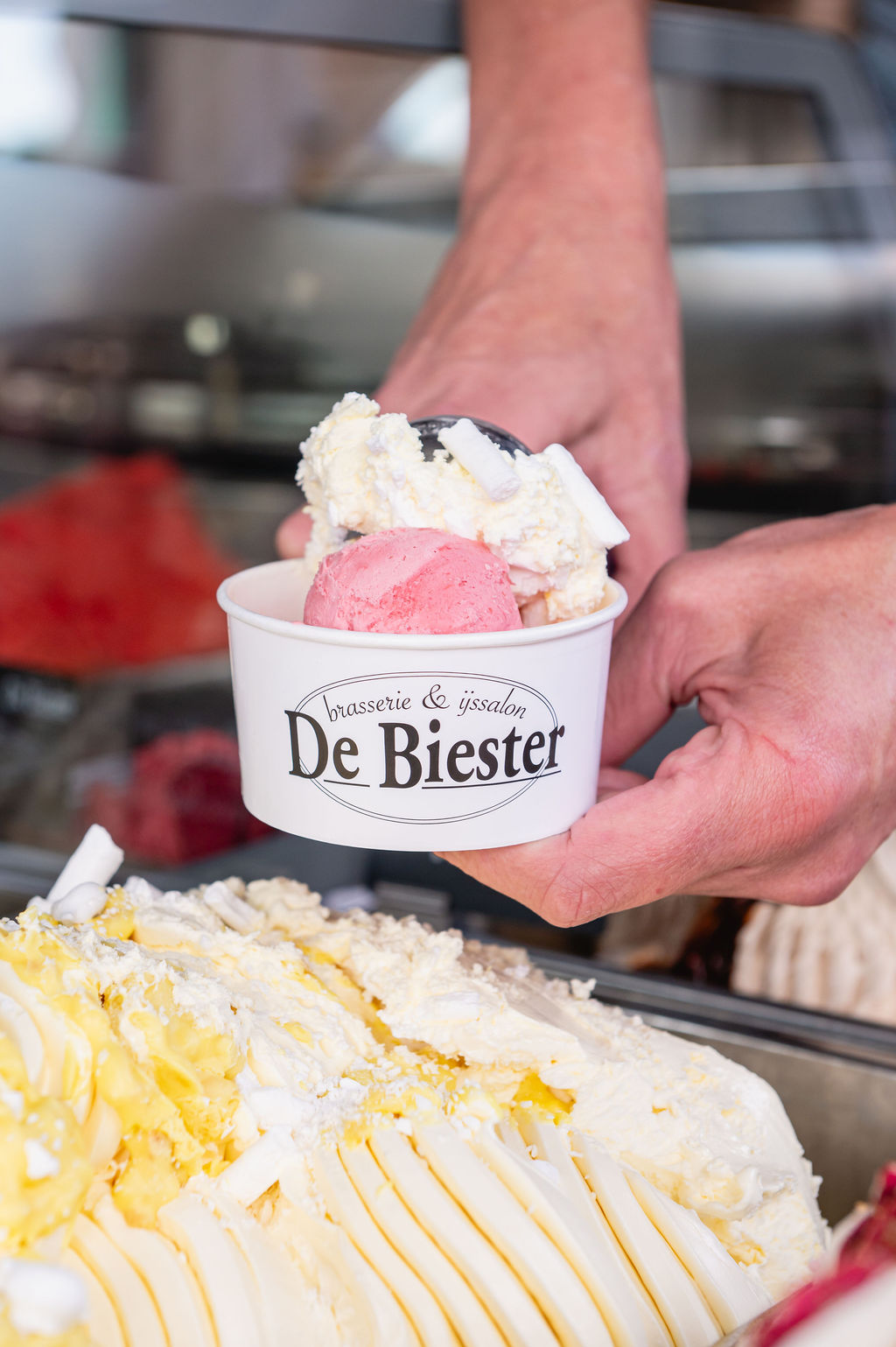 IJssalon De Biester